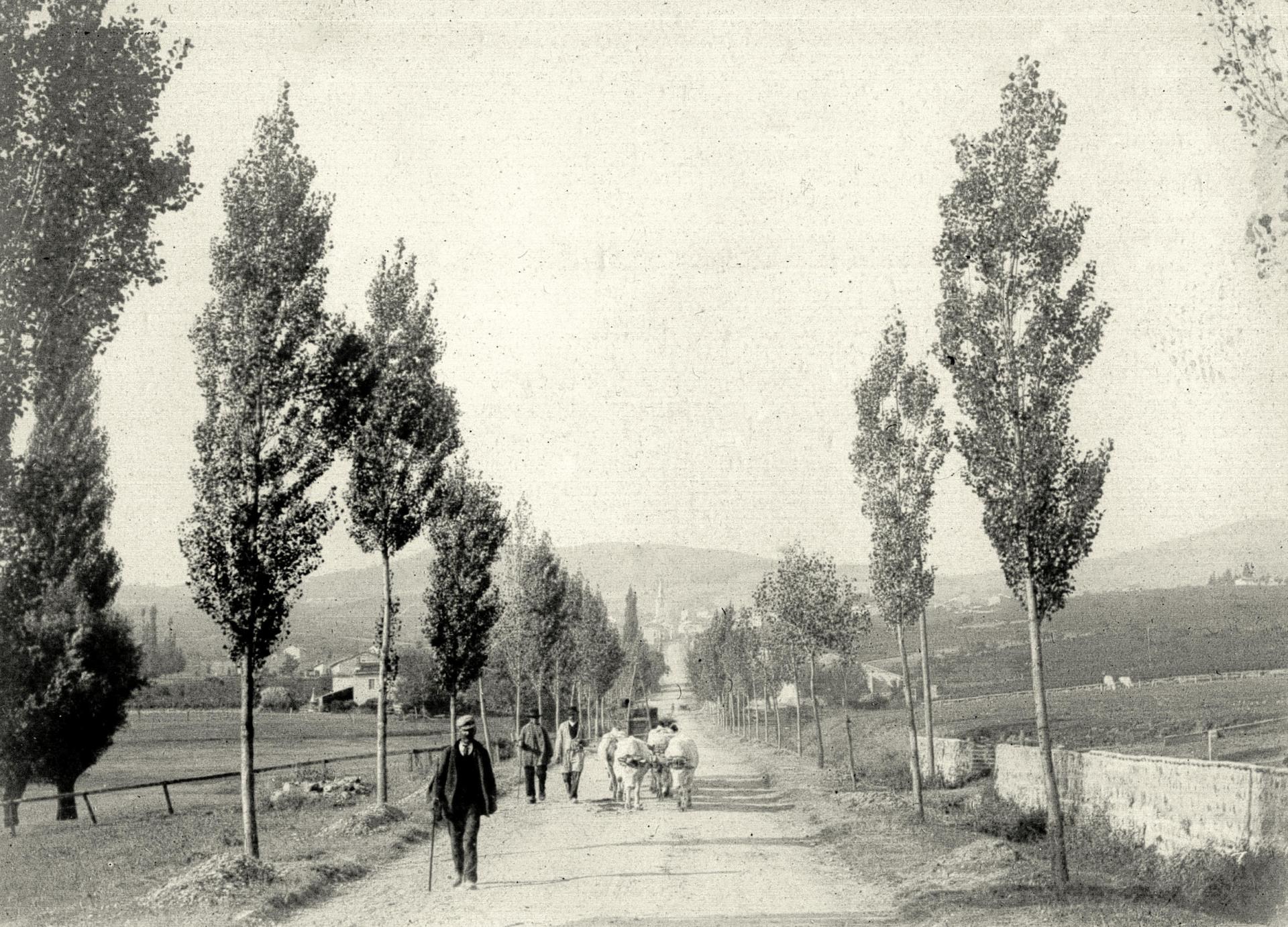 1895 96 lentigny route de villemontais
